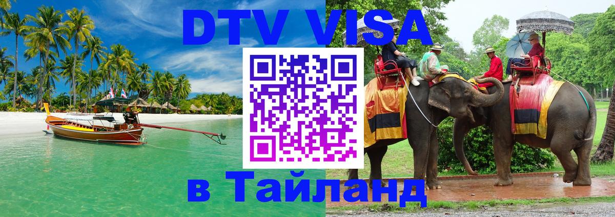 Оформление DTV визы под ключ: стоимость и тарифы, только загранпаспорт - 